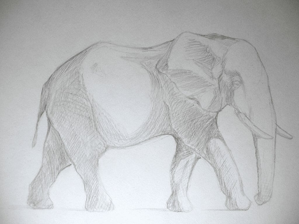 African Elephant | Acrylic Wildlife Painting
